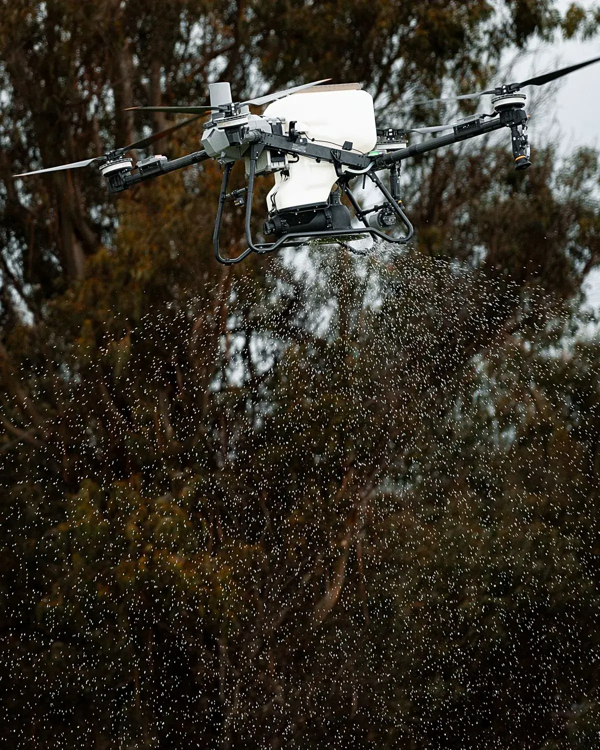 Ensayo de campo con dron agrícola — evidencia científica