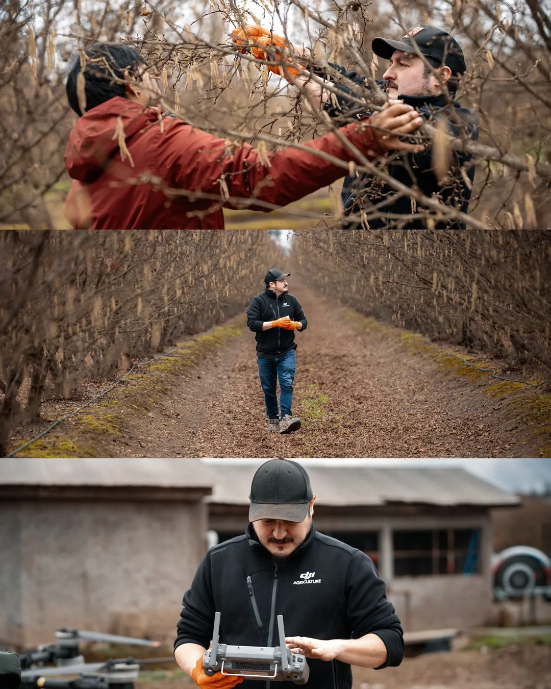Trabajo de I+D en frutales: inspección y captura multiespectral