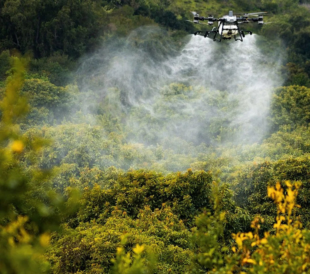 Dron DJI Agras de Dronespray® aplicando sobre un huerto de paltos
