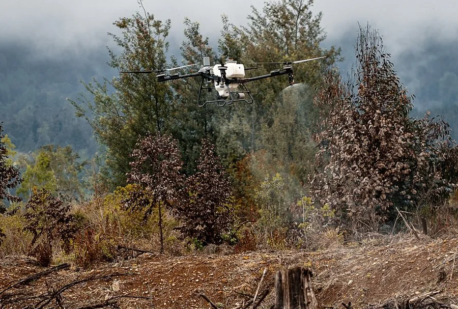 Dron DJI Agras en aplicación forestal — proyecto con Arauco en Chile