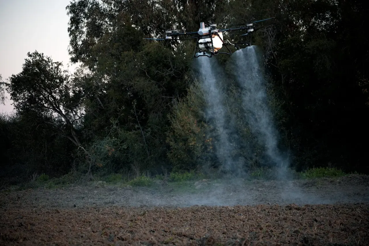 Dron DJI Agras de Dronespray® aplicando sobre el cultivo al atardecer