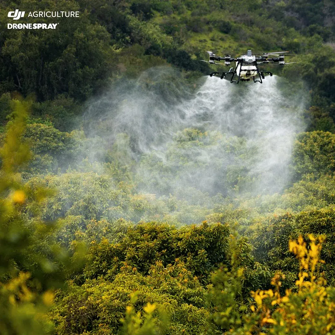 Fumigación con drones agrícolas en Chile: guía completa
